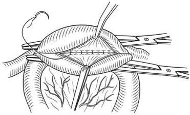 pagenumber_ebook=368,pagenumber_book=353