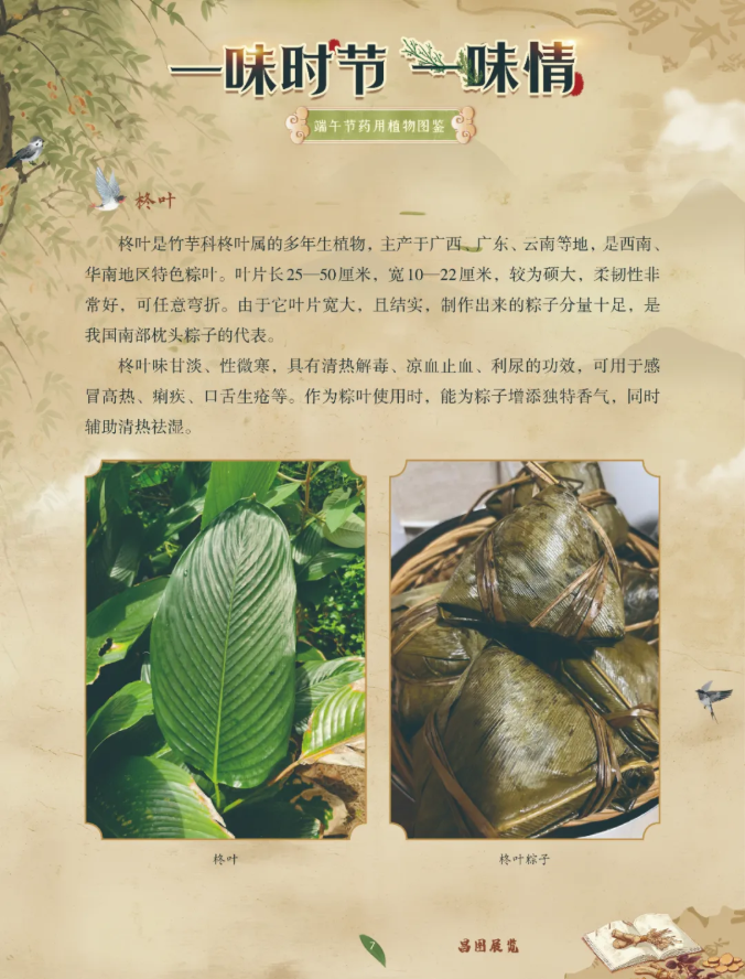 image.png?v=1782174181266