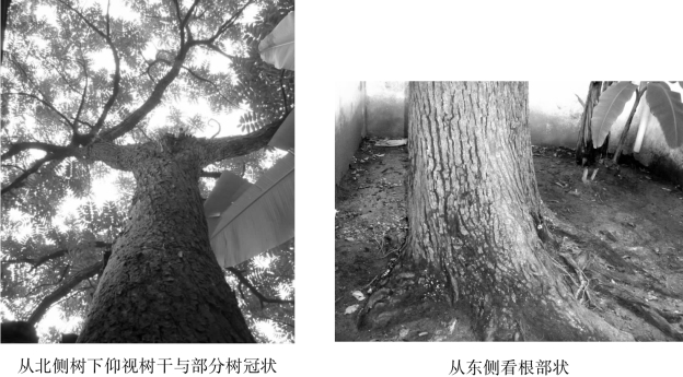 pagenumber_ebook=106,pagenumber_book=106