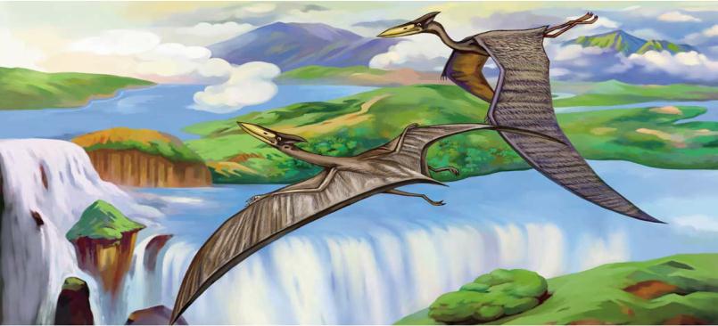 pagenumber_ebook=117,pagenumber_book=116