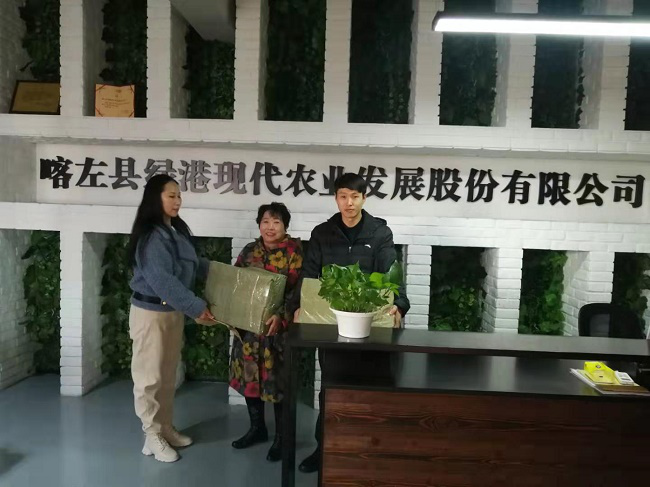 图片1 图片1.png?v=1765857597436