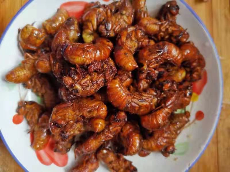 微信图片_202102161033342