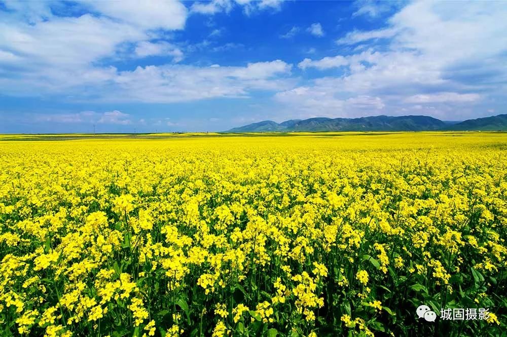 8 8.jpg?v=1765879816335