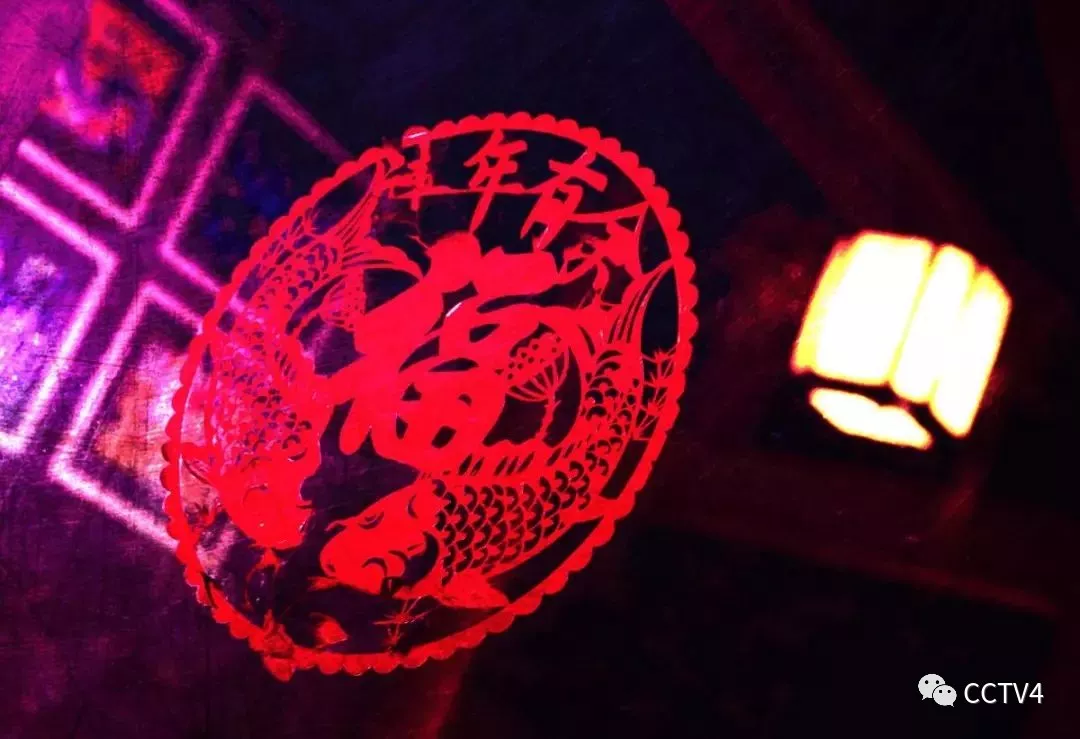 20180209171622_4r9gdd86ad 20180209171622_4r9gdd86ad.png?v=1769798538028