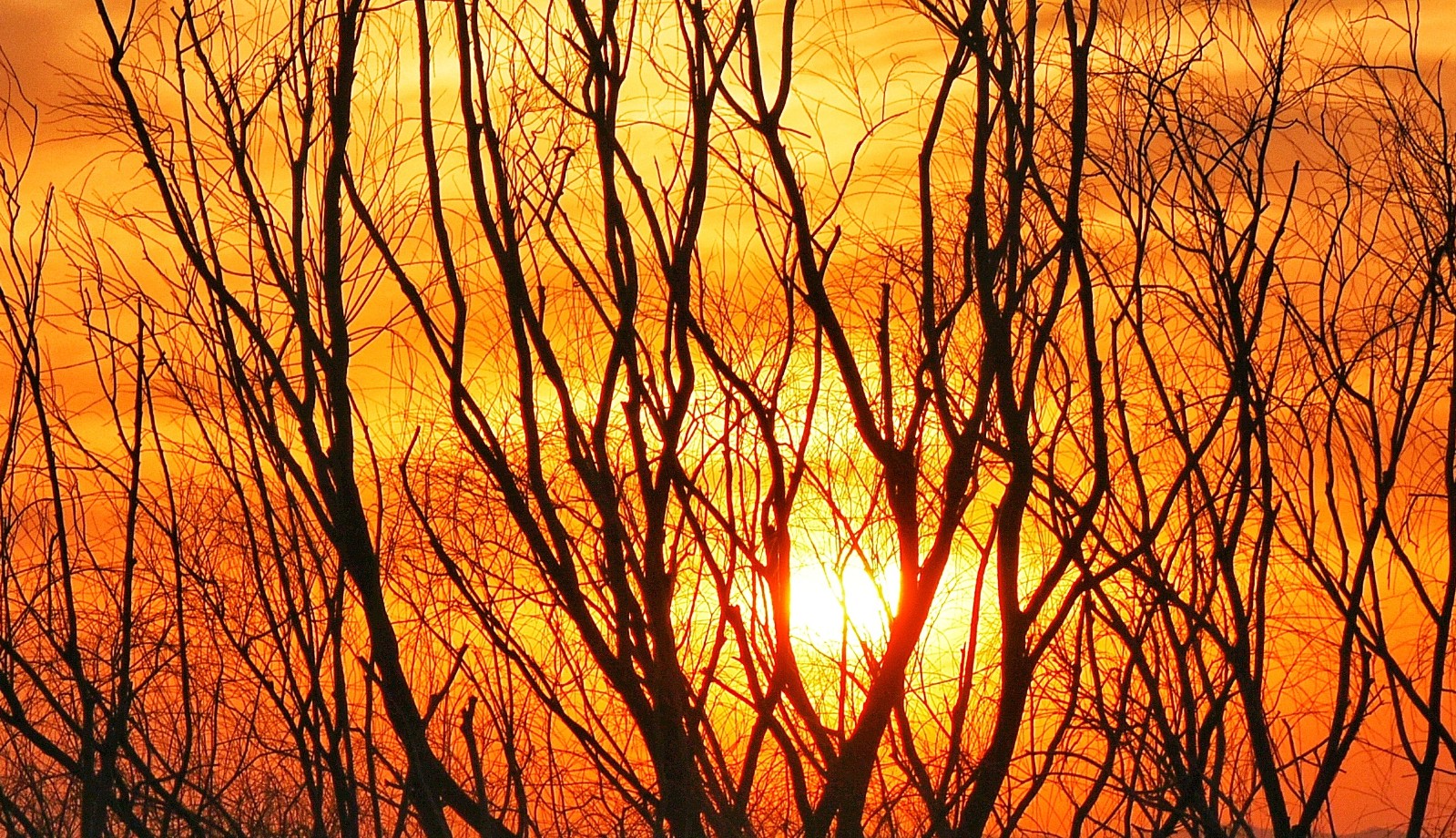 微信图片_20211130100854