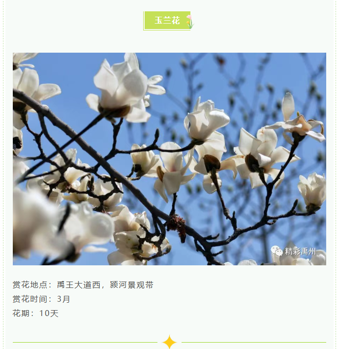 4276239c38d20348a66df4b5ab0964c7png