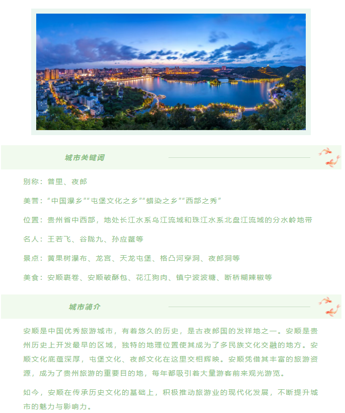image.png?v=1751558967926