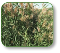 pagenumber_ebook=39,pagenumber_book=26