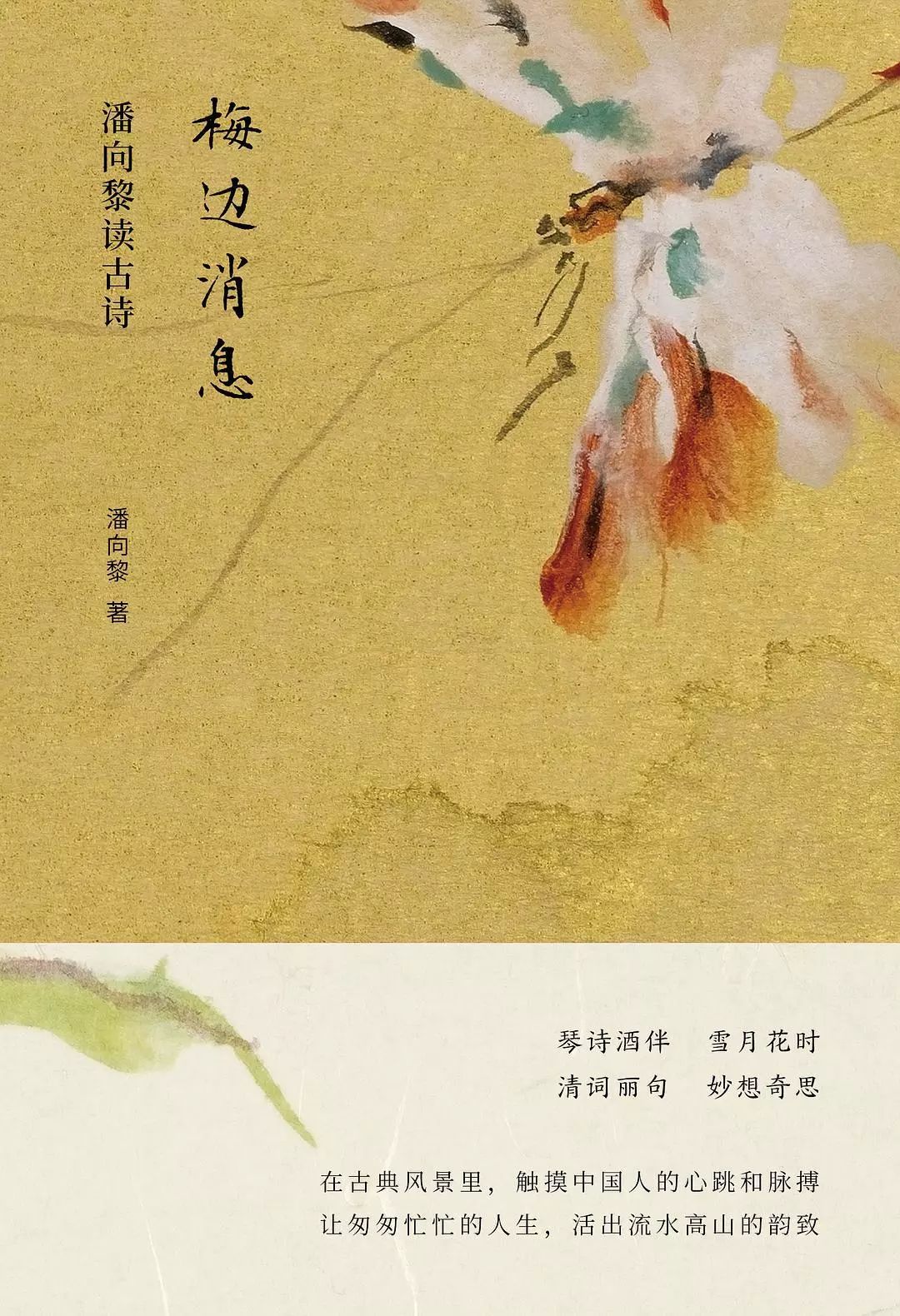 1 1.jpg?v=1765879813784