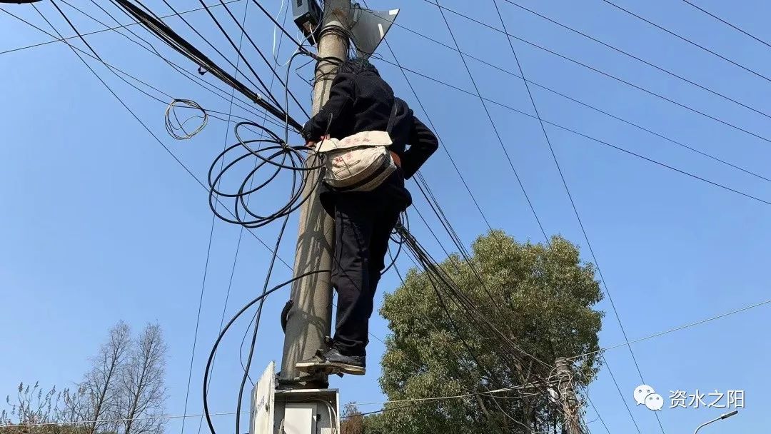 1 1.jpg?v=1765898062475