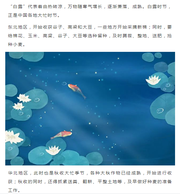 image.png?v=1750240919778