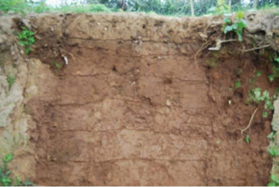 20170824155732_9fpd93c175 20170824155732_9fpd93c175.jpg?v=1765848408043