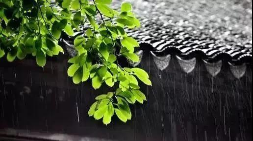 微信图片_20210331104317 微信图片_20210331104317.jpg?v=1774490086390