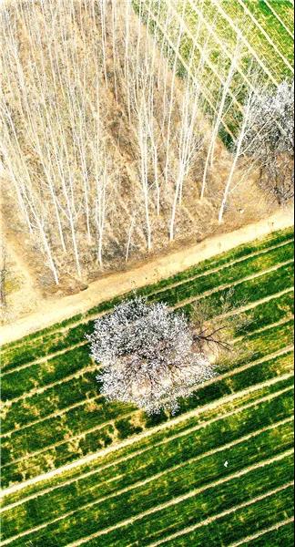 微信图片_20210318082743