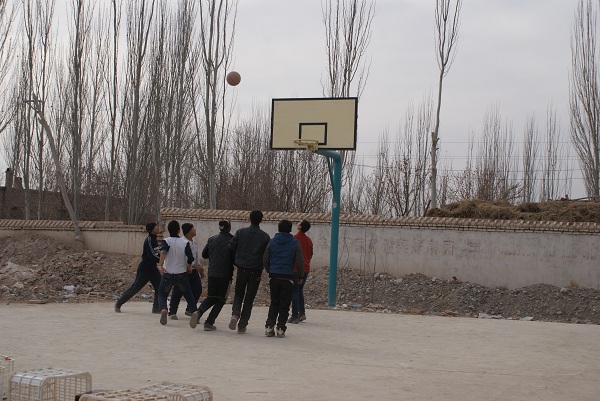 20170527190656_y7b4dijub2 20170527190656_y7b4dijub2.jpg?v=1765697519726