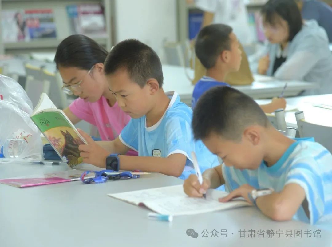 5ca85538597256da19ef2ccd6d5b9434 5ca85538597256da19ef2ccd6d5b9434.jpg?v=1764860868162