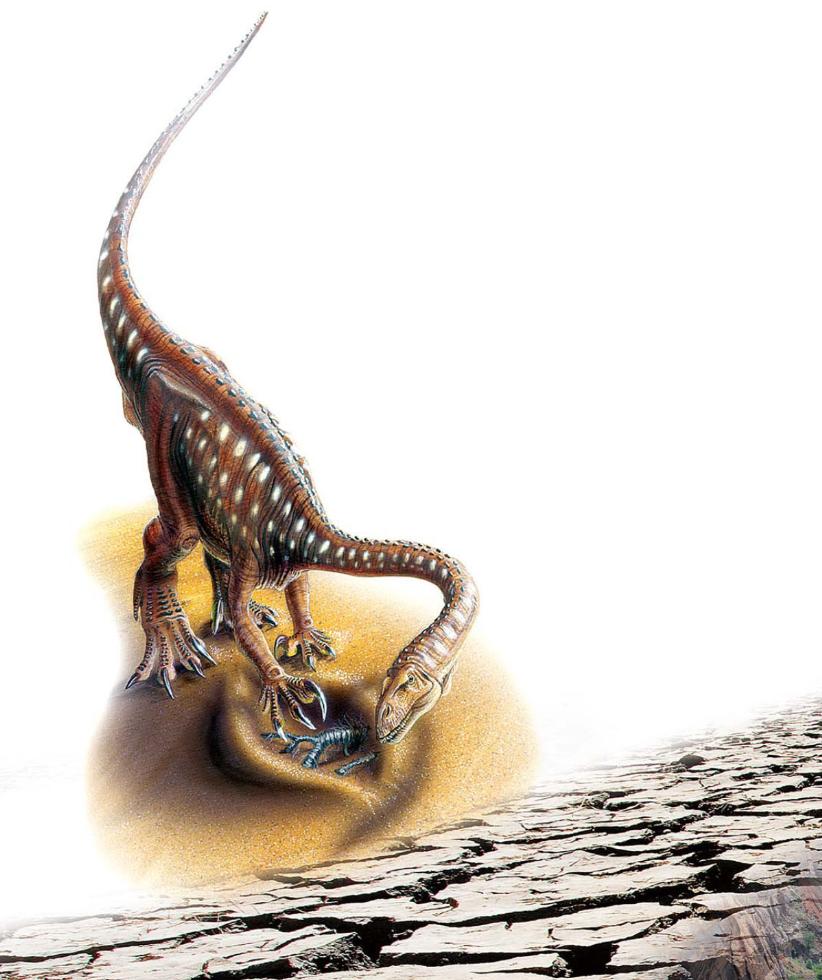 pagenumber_ebook=81,pagenumber_book=70