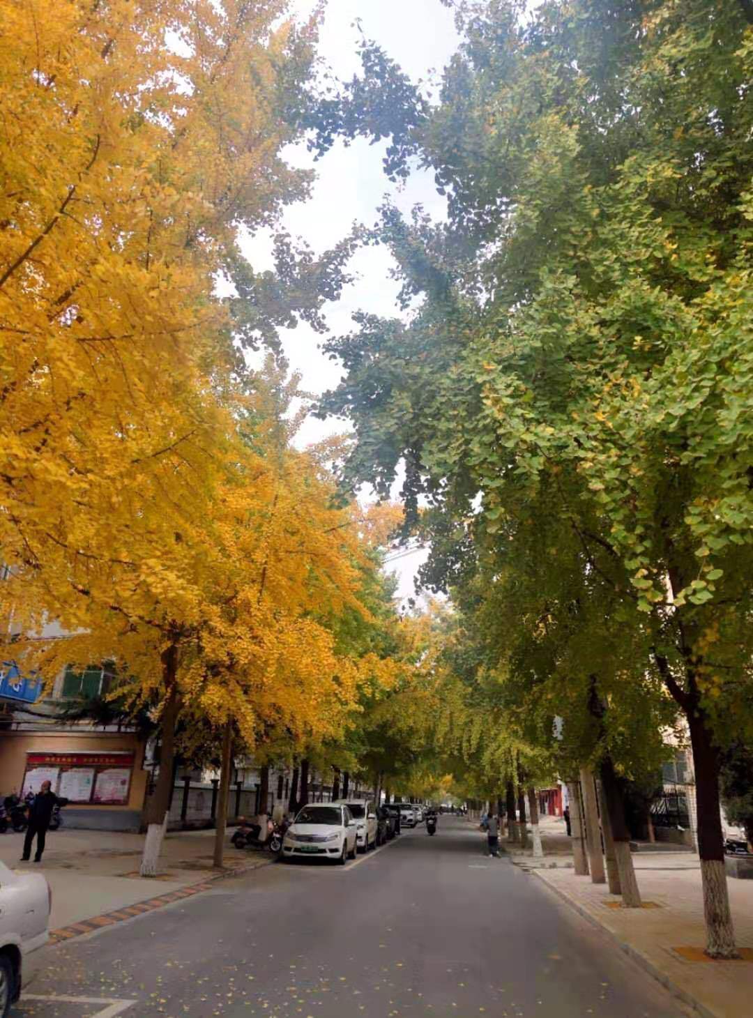 234050ba6829a5711403ab311e1a5f3