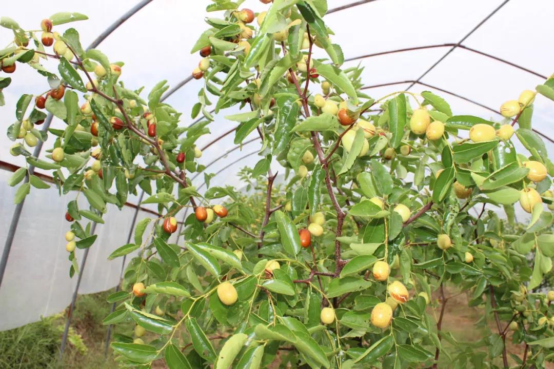 微信图片_20200917001353 微信图片_20200917001353.jpg