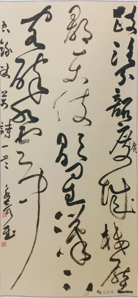 13 13.jpg?v=1772870153787