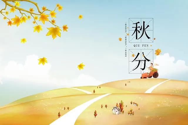 3 3.jpg?v=1762323770465