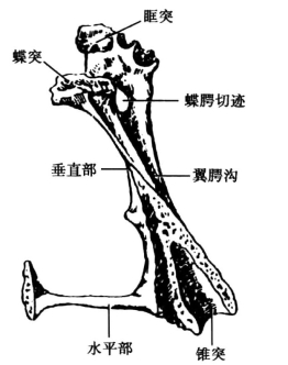 pagenumber_ebook=63,pagenumber_book=54