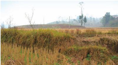 pagenumber_ebook=36,pagenumber_book=36