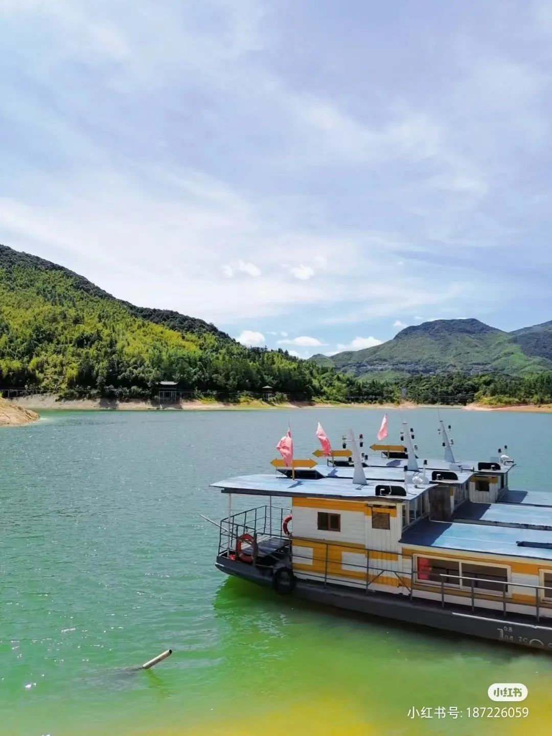 DM_20230130115929_009 DM_20230130115929_009.jpeg