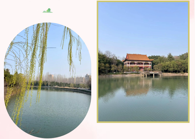 1972bd4829c7214609231f2dd743f1fe 1972bd4829c7214609231f2dd743f1fepng