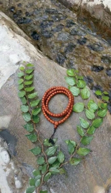 pagenumber_ebook=123,pagenumber_book=111