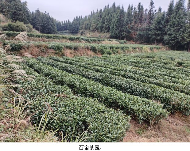 1732338135259 1732338135259.png