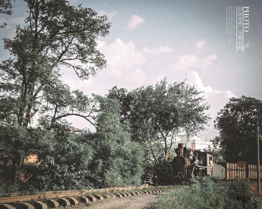 IMG_1437(20200417-111227) IMG_1437(20200417-111227).jpg?v=1765781105416