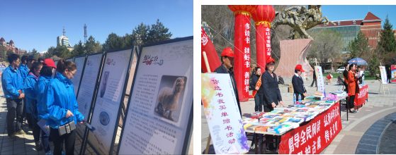 10图片1.png?v=1765830456020