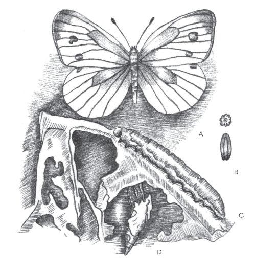 pagenumber_ebook=68,pagenumber_book=52