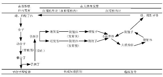 pagenumber_ebook=259,pagenumber_book=259