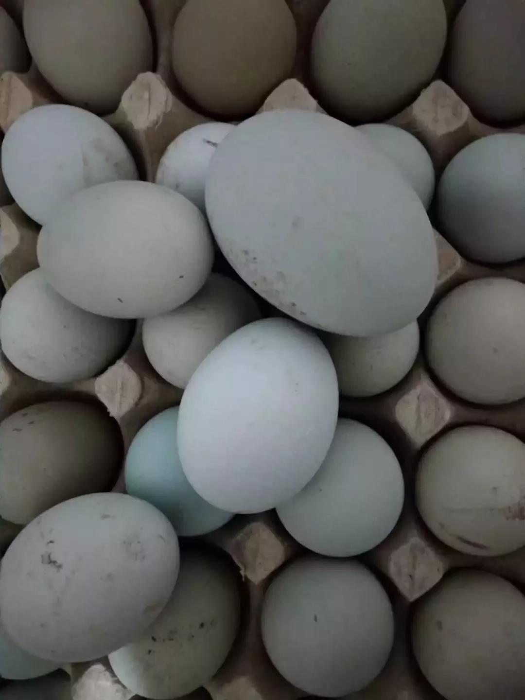 微信图片_20200712020458 微信图片_20200712020458.jpg