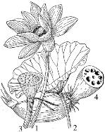 pagenumber_ebook=239,pagenumber_book=239