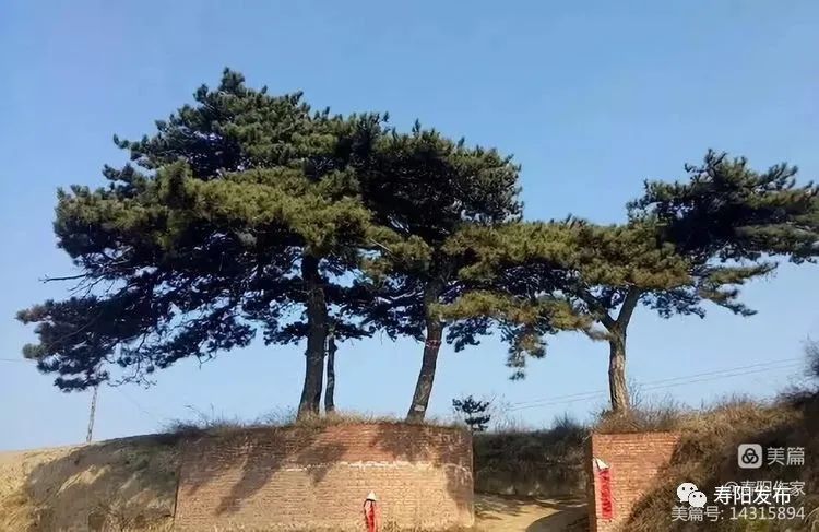 6bbe0528a670896936fbd1fccea550a9_640_wx_fmt=jpeg&wxfrom=5&wx_lazy=1&wx_co=1 6bbe0528a670896936fbd1fccea550a9_640_wx_fmt=jpeg&wxfrom=5&wx_lazy=1&wx_co=1.jpg