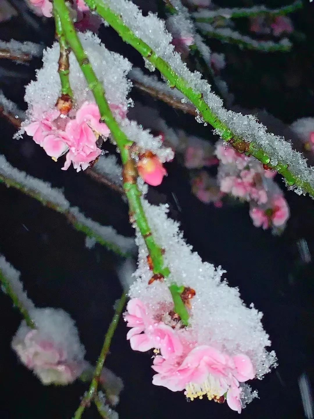 微信图片_20210318091721 微信图片_20210318091721.jpg