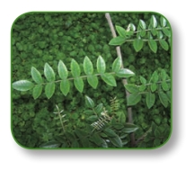 pagenumber_ebook=66,pagenumber_book=53