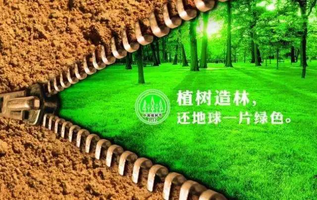 图片6 图片6.png?v=1763162689666