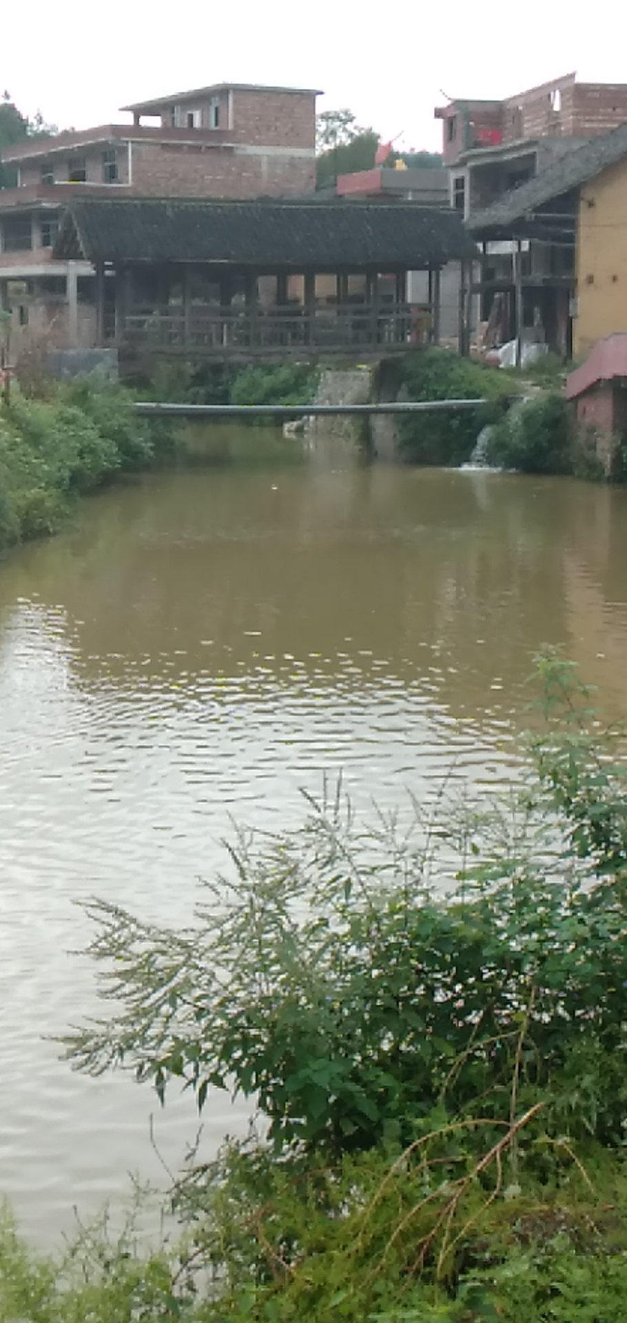 图片 1 图片 1.png