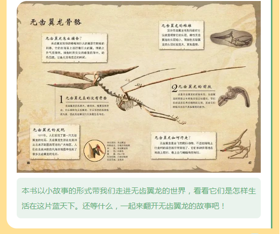 image.png?v=1750240592262