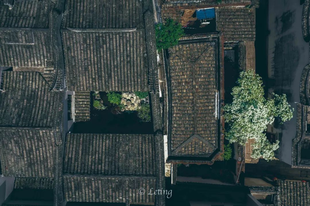 微信图片_20220406153845 微信图片_20220406153845.jpg