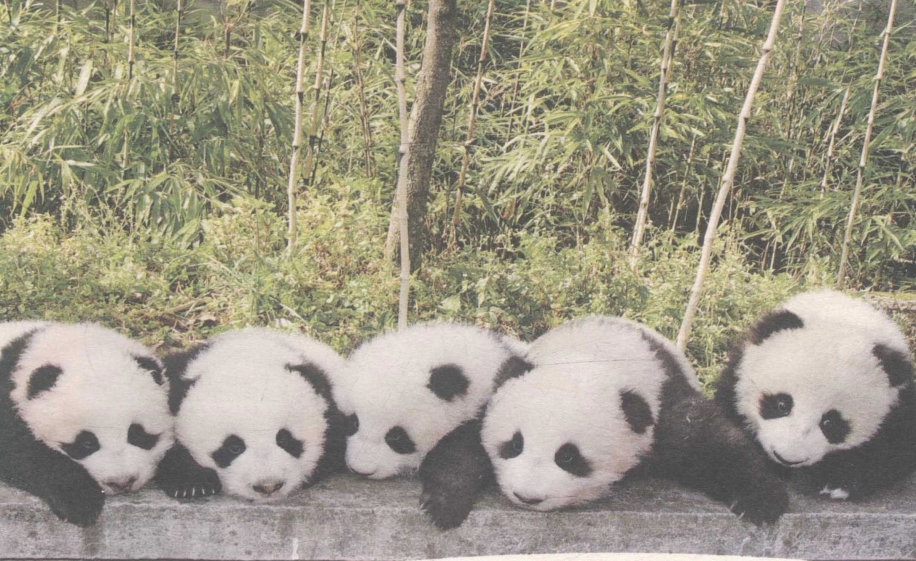 pagenumber_ebook=173,pagenumber_book=159