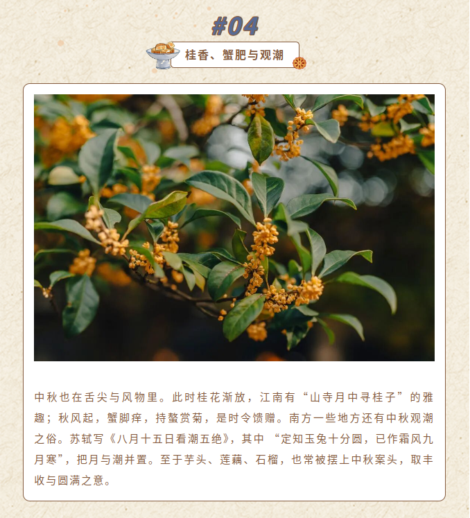 image.png?v=1790286213945