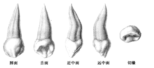 pagenumber_ebook=42,pagenumber_book=33