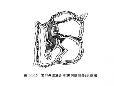 全屏显示课程 章节