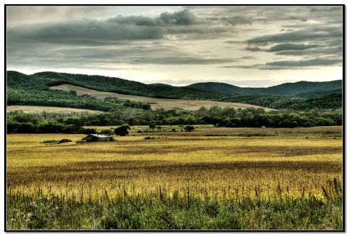 乌拉嘎的秋天 乌拉嘎的秋天.jpg