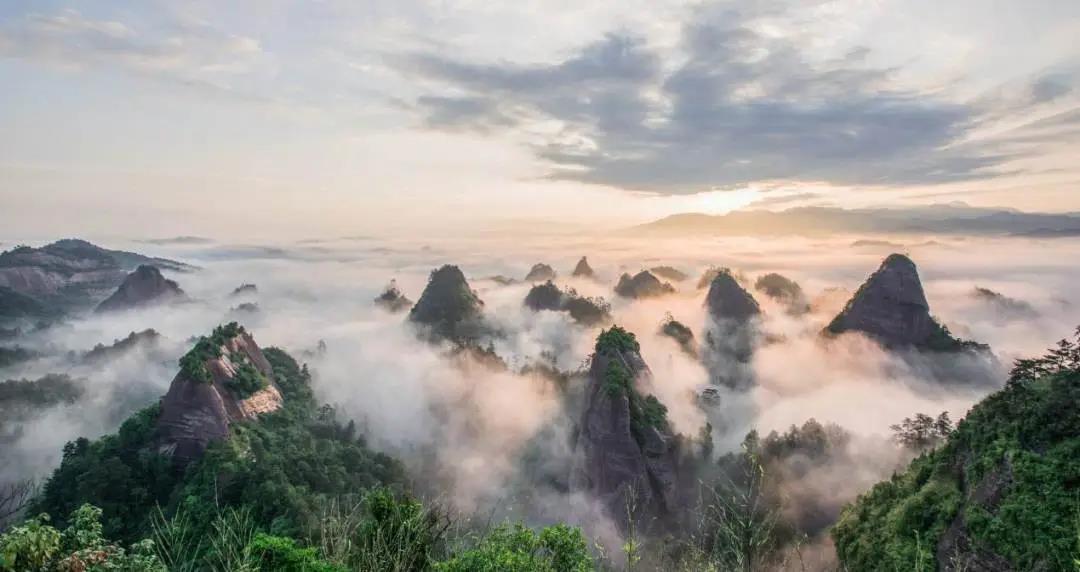 微信图片_20200505112020 微信图片_20200505112020.jpg